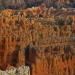 Bryce Canyon : vue générale