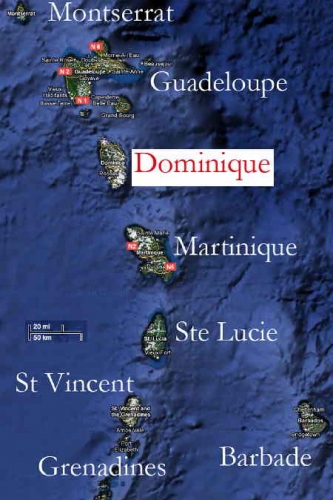 Dominique-1.jpg