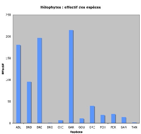 Hélophytes-effectif_d+m1.jpg