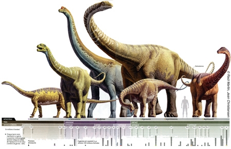 dinosaures,sauropodes,fossiles,pistes,jurassique