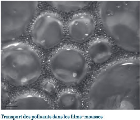 Polluants-films-mousses-450.jpg