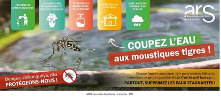 Affiche-Aedes-albopictus-450.jpg